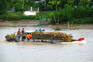 MEKONG DELTA: MY THO – BEN TRE