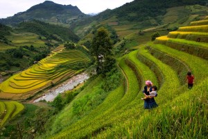 SAPA VALLEY TREK AND HOMESTAY