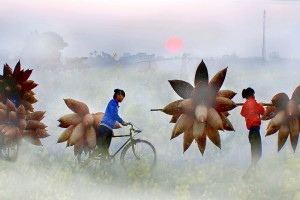 9 Day Vietnam Discovery Tour 